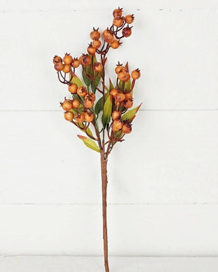 Fall Berry Stem