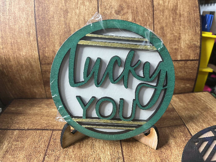 Lucky you saint Patrick’s day circle interchangeable insert