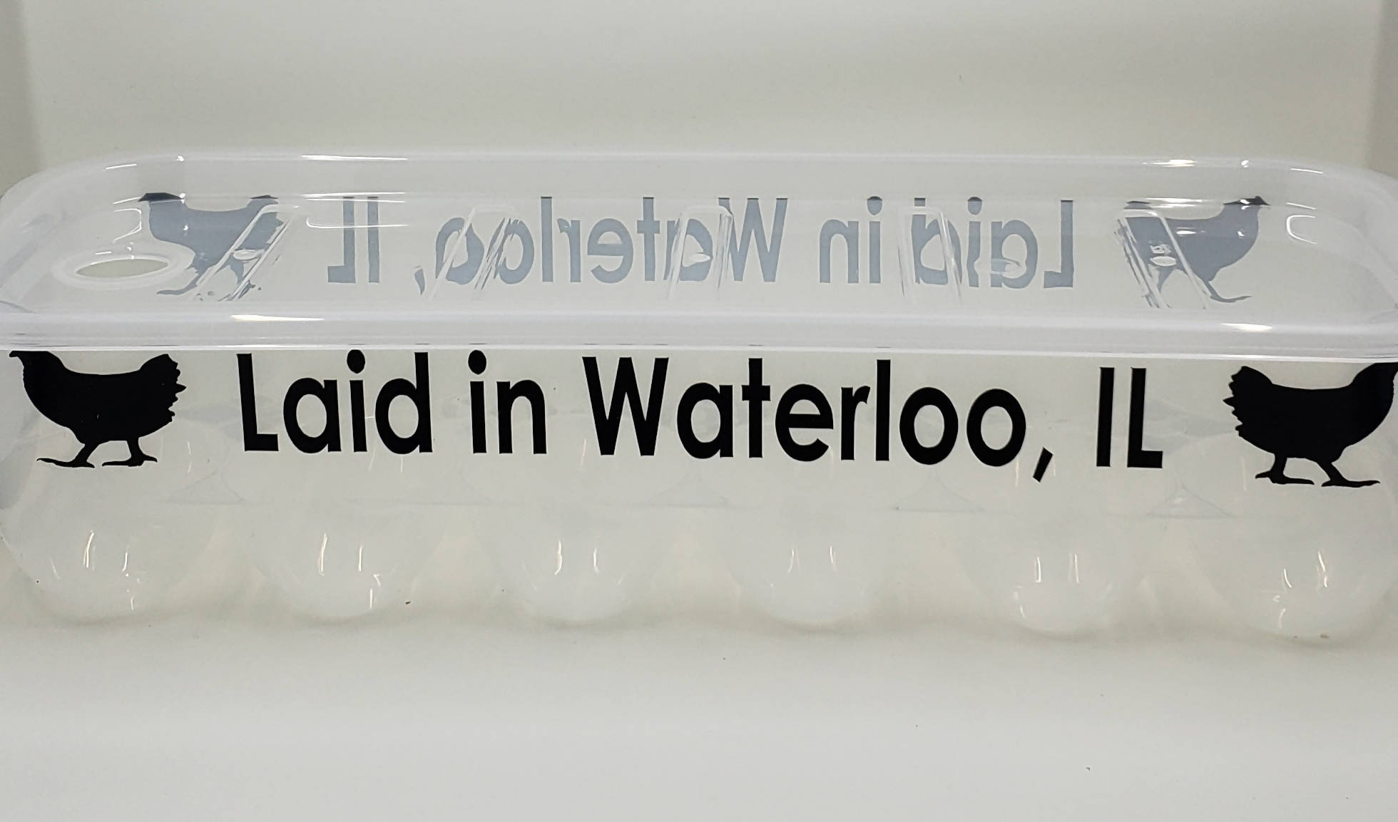 Laid in Waterloo, IL Egg Carton