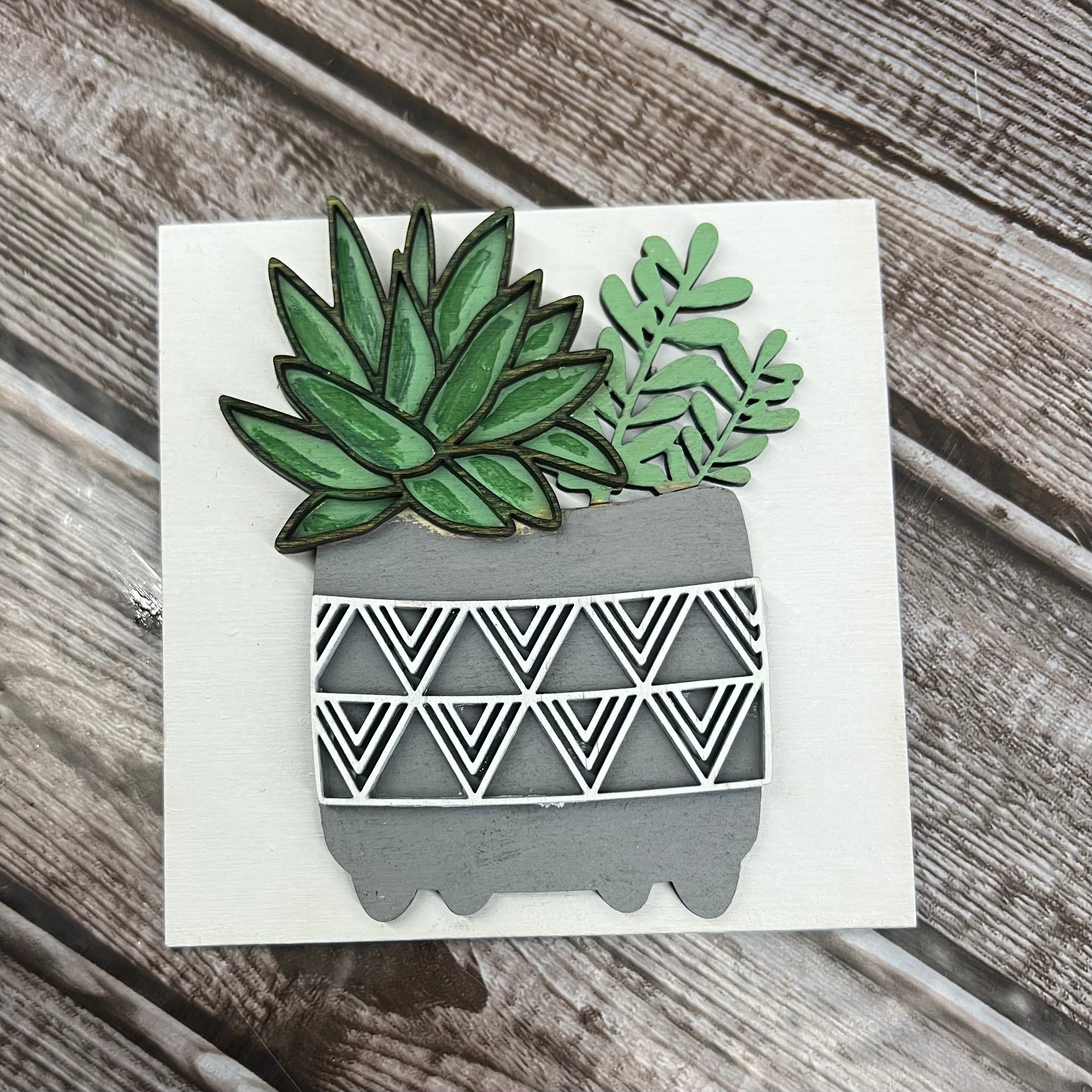 Succulent w/ Grey Pot Square Insert