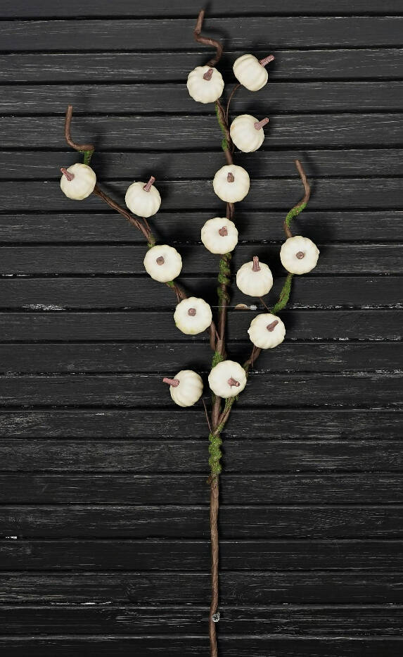 Cream Pumpkin Floral